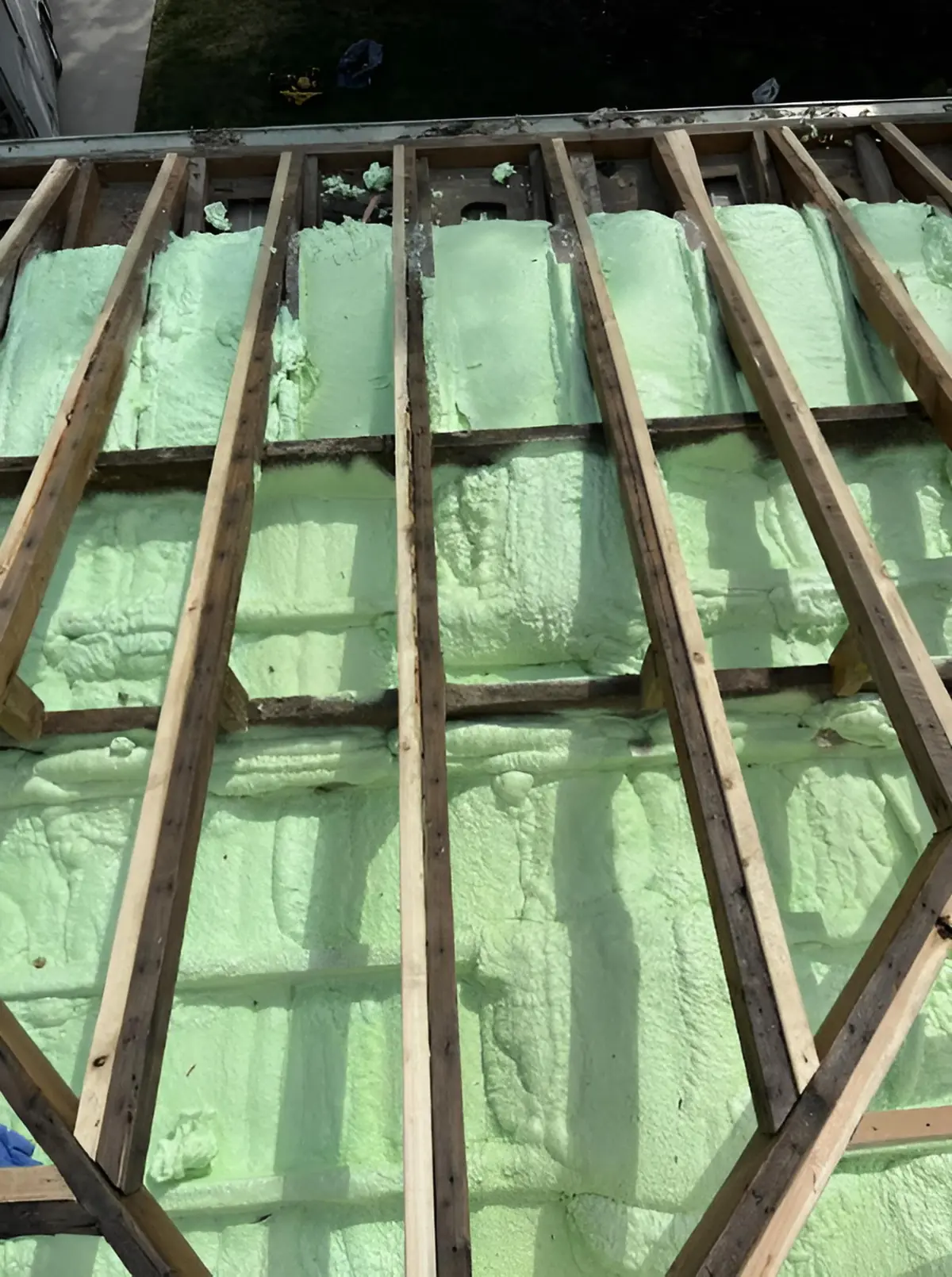 Fort Richmond Roof Deck, 5" · R-30, Green Home Insulation